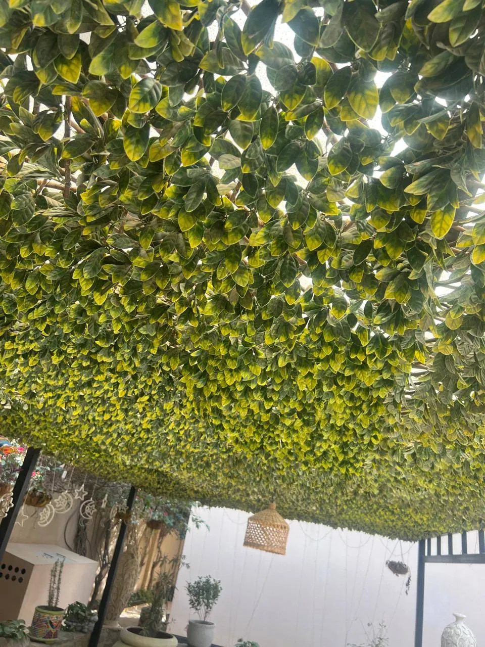 مدادات للسقف