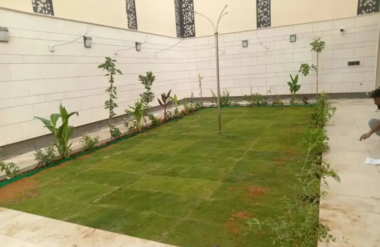 مسطح ثيل طبيعي جديد على طول جدار حوش مع شتلات من أعمال الحيتان
