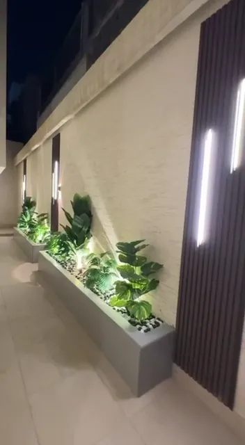 فيديو جدران خضراء ونباتات داخلية من أعمال الحيتان