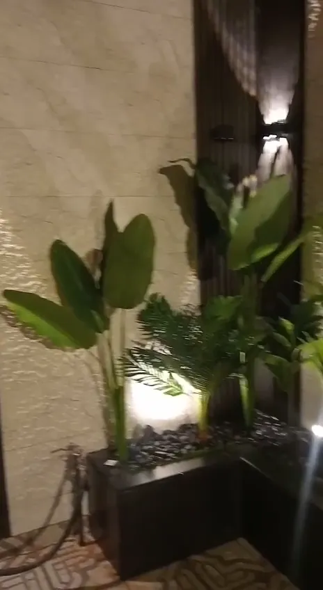 فيديو جدران خضراء ونباتات داخلية من أعمال الحيتان