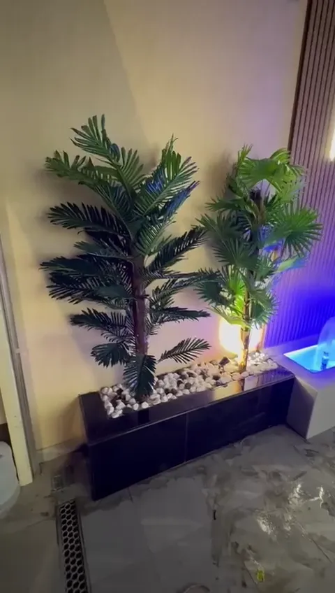 فيديو جدران خضراء ونباتات داخلية من أعمال الحيتان