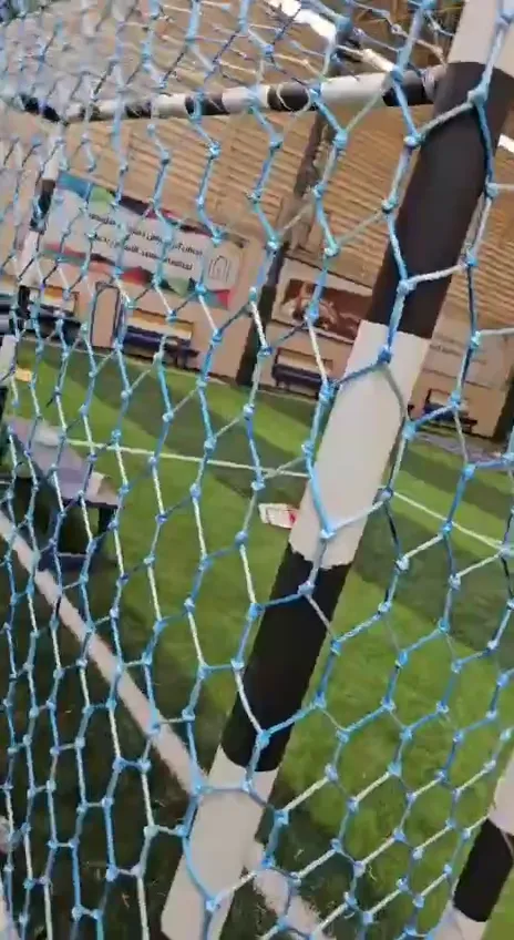 فيديو ملاعب من أعمال الحيتان