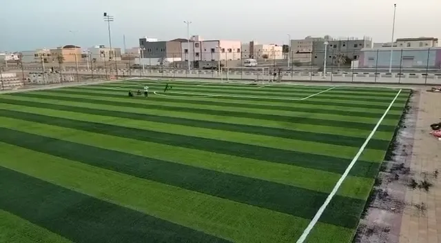 فيديو ملاعب من أعمال الحيتان