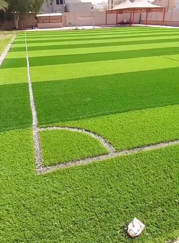 فيديو ملاعب من أعمال الحيتان