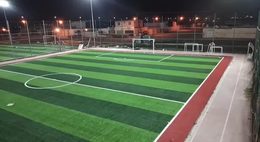 فيديو ملاعب من أعمال الحيتان