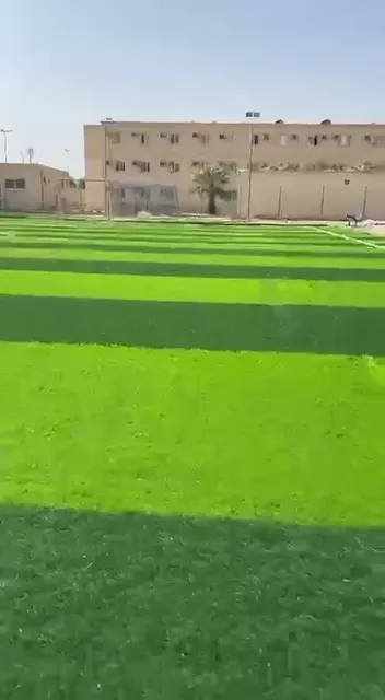 فيديو ملاعب من أعمال الحيتان